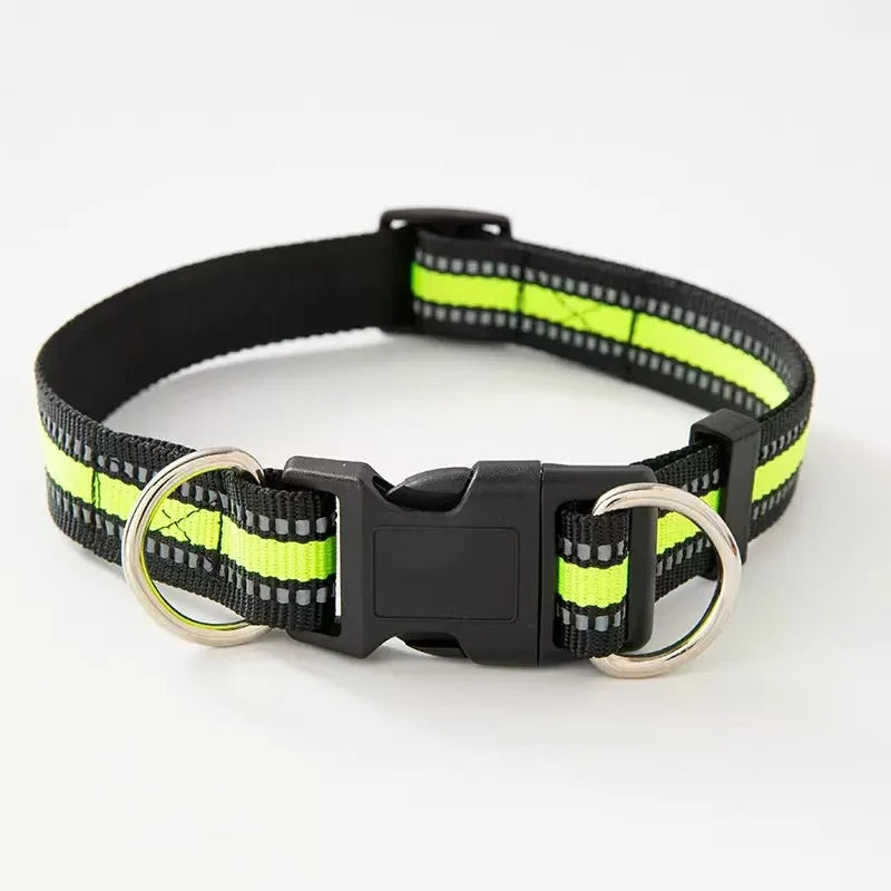 Heavy-Duty Reflective Collar with Double D-Ring – photo 6