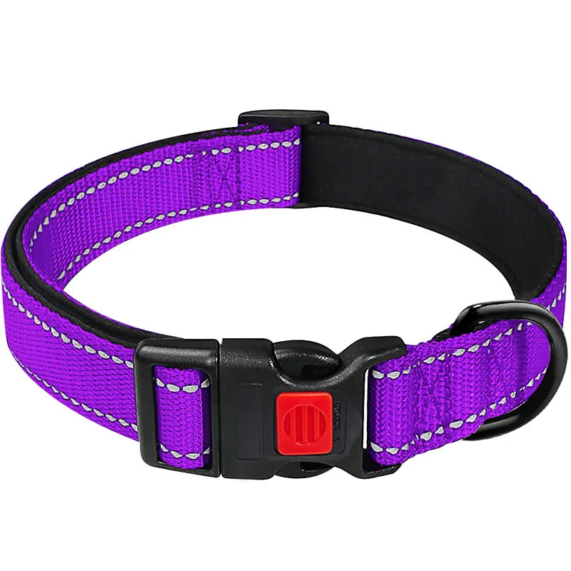 Padded Neoprene Reflective Dog Collar - Medium & Large – photo 7