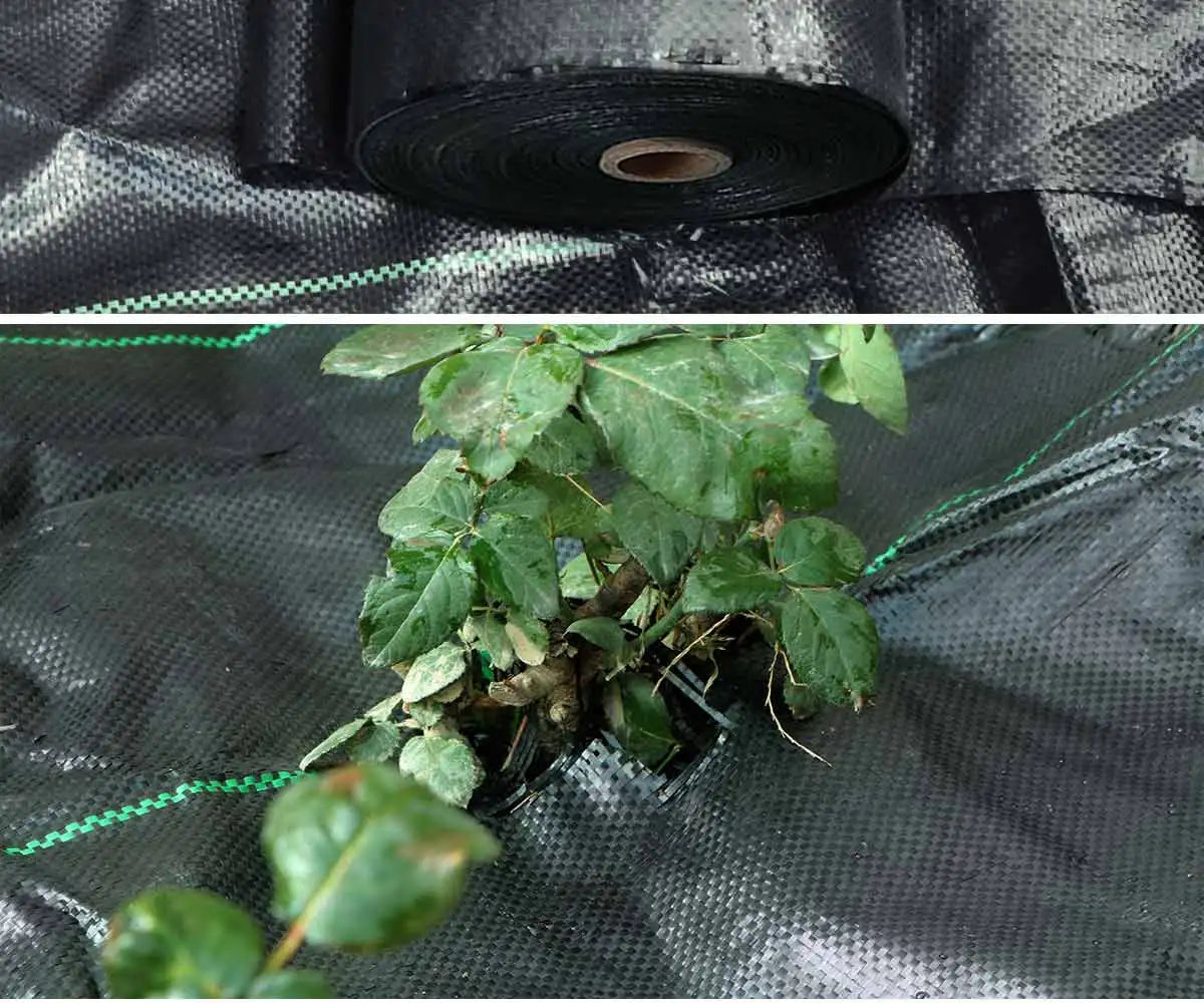 PP Woven Weed Control Fabric for Plant Anti Grass Agricultural Mulch Cloth Greenhouse Weeding Mat Water Permeable Ground Cover