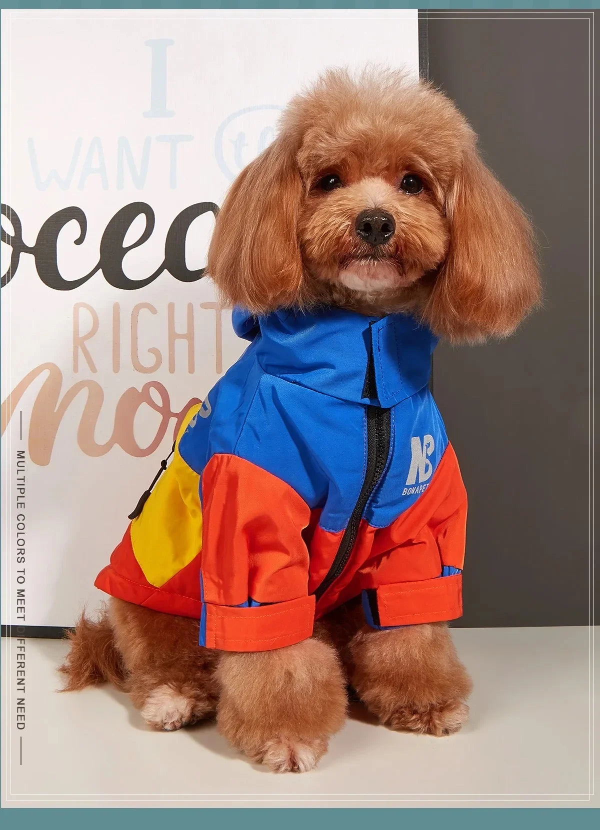 Hooded Dog Raincoat - Sporty Pet Jacket for Dogs and Cats - photo 5
