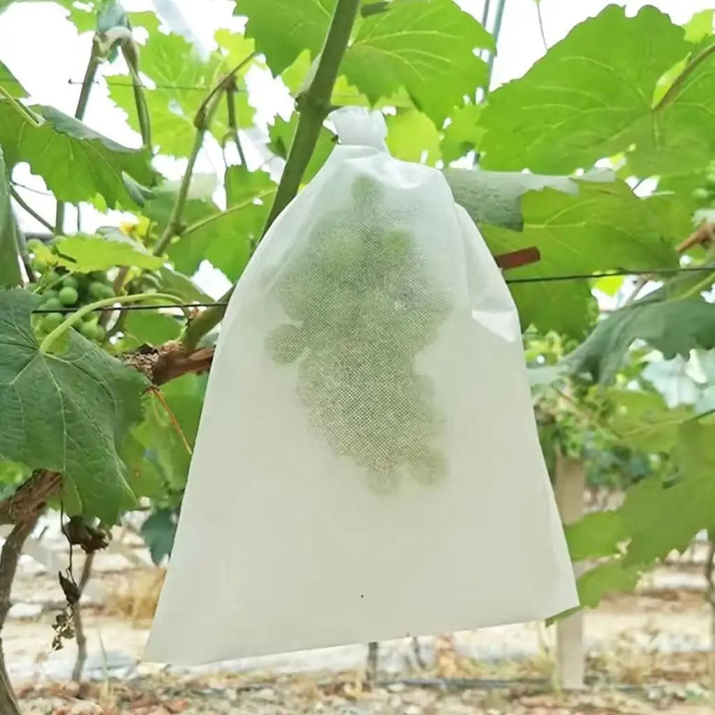 50Pc Fruit Protection Bags — Drawstring Mesh Tree Netting Covers