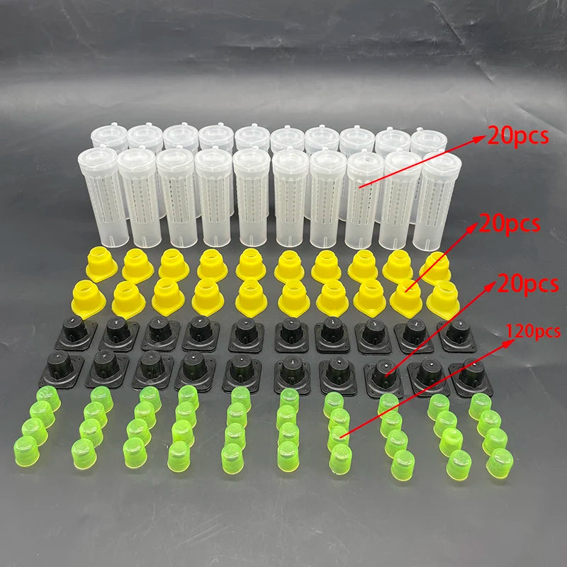1 Set Bees Tools Cages King Queen Rearing Cupkit System Bee Beekeeping Catcher Box Cell Cups Cage Nicot Complete Kit