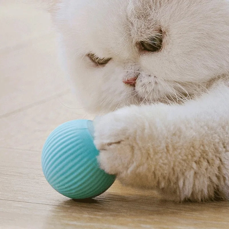 Automatic Rolling Magic Ball - Electronic Cat Toy – photo 4