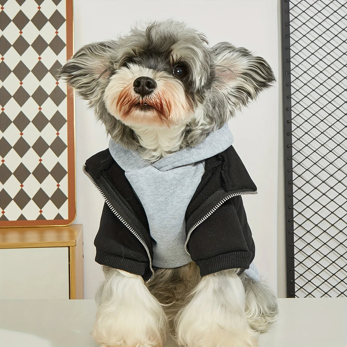 Fashion Dog Hoodie Coat - Warm Winter Clothes for Small and Medium Dogs
