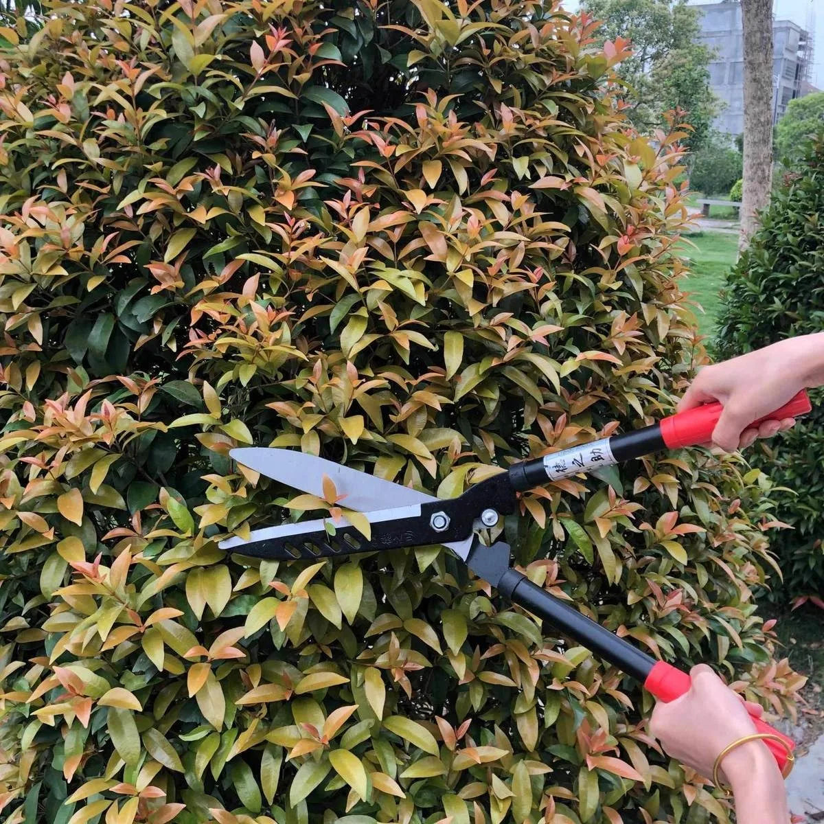 Professional Garden Hedge Lopper — Long-Reach Bypass Pruner