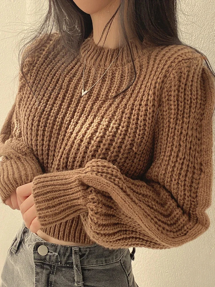 Women's Lantern Sleeve Loose Knit Sweater