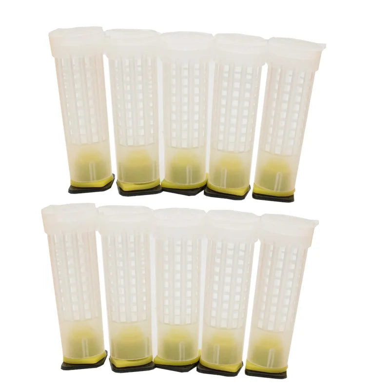 100PCS Wholesale Beekeeping Queen Bee Rearing System Protection Cages Plastic Tools Supplies Larva Anti Bite Equipemnt Farm