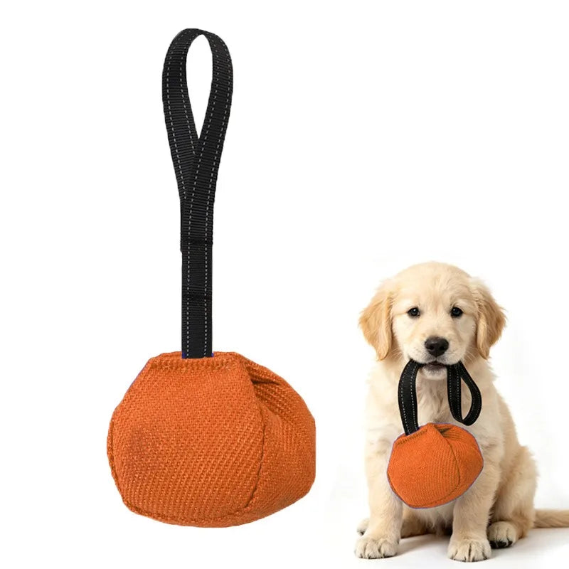 Outdoor Tug-of-War Dog Toy - Bite-Resistant Pull Toy