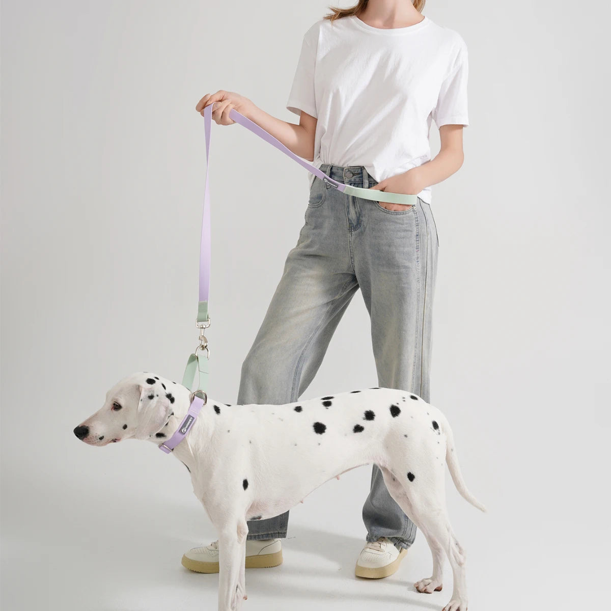 Adjustable Dog Collar & Leash Set - Coated Training Lead, M/L - photo 2