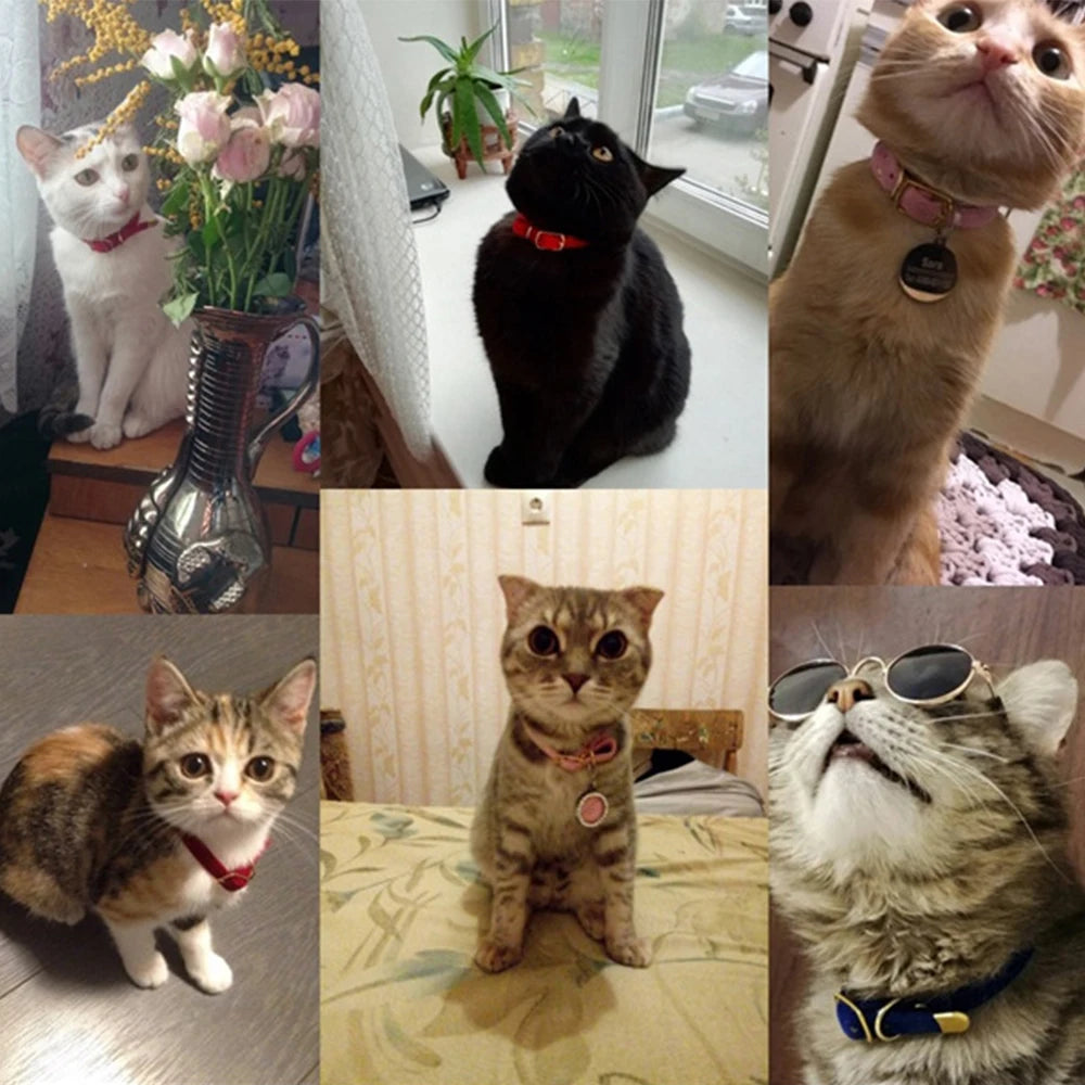 Cat Collar With Safety Cat Collars Adjustable Puppy Dog Collar For Small Dogs Kittens Solid Pet Collarhu Products Cat Necklace