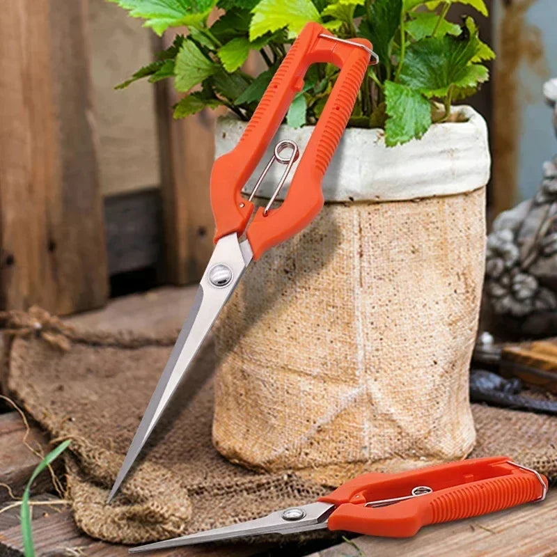 Pruning Shears Grape Scissors Garden Tool Vegetable Patch Bonsai Professional  Stainless Steel Fruit Picking With Lock New