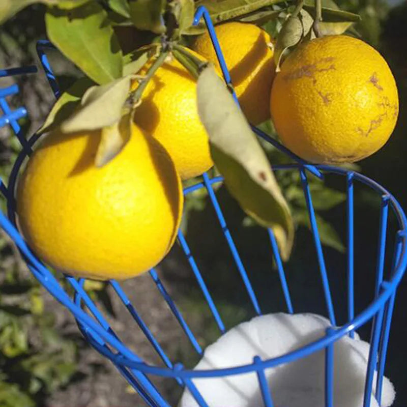 Fruit Picking Machine – Practical Handheld Fruit Catcher & Collection Device | Gardening Tool