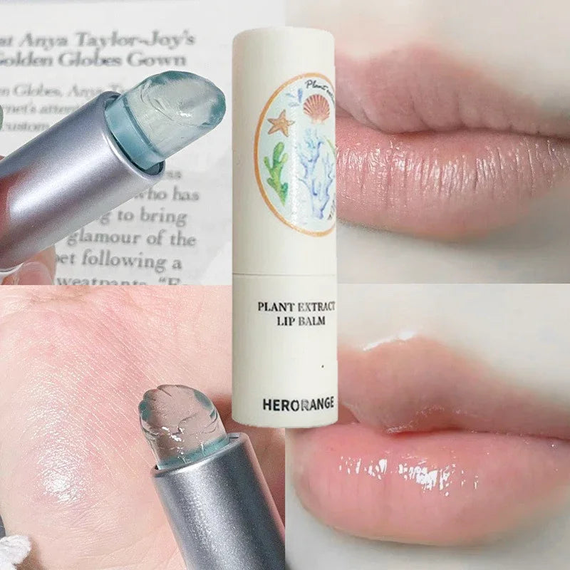 Clear Jelly Lip Balm - Shell-Shaped Hydrating Lip Oil & Makeup Base