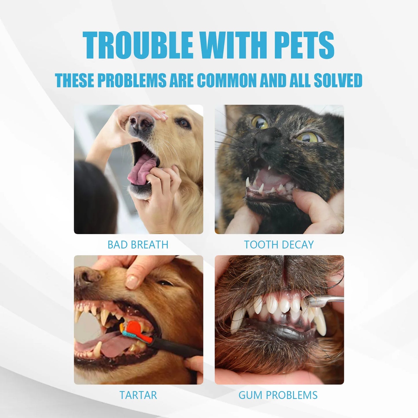 YEGBONG Pet Toothpaste – Edible Formula Tartar Control & Breath Freshener for Dogs & Cats | All Breeds Daily Use