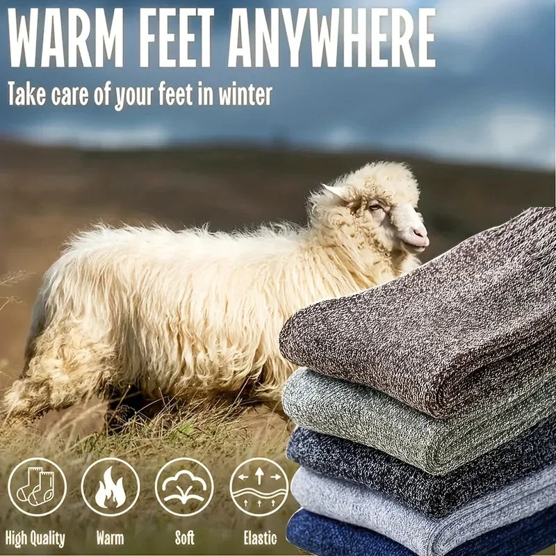 Men's Thick Terry Crew Socks, 3 or 5 Pairs