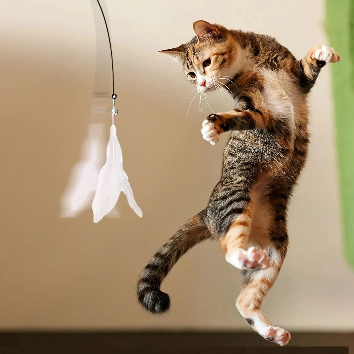 Cat Teaser Wand with Bell & Feather - Suction Cup Play Pole – photo 6