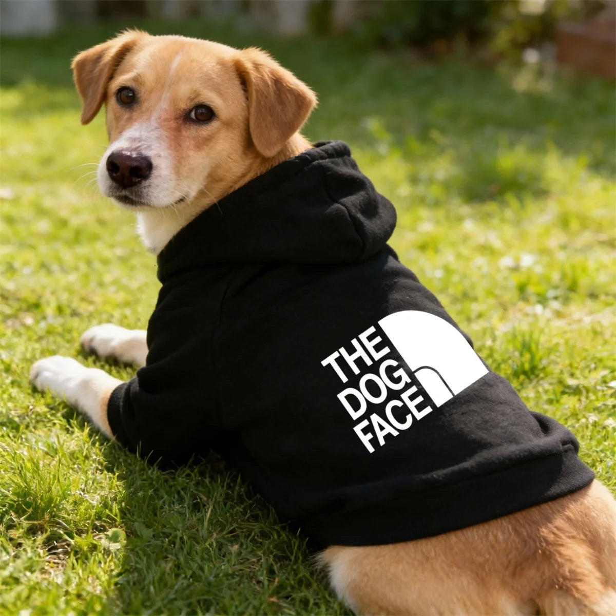 Dog Hoodie Sweatshirt Jacket - Warm Autumn Coat for Small Breeds - photo 7
