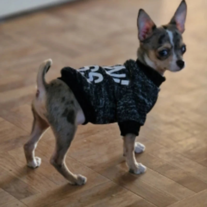 Winter Chihuahua Hoodie - Small Dog Warm Clothing – photo 2