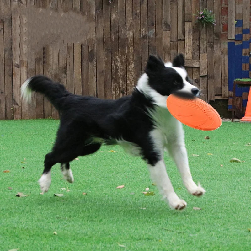 Soft Silicone Flying Disc Dog Toy for Fetch and Training