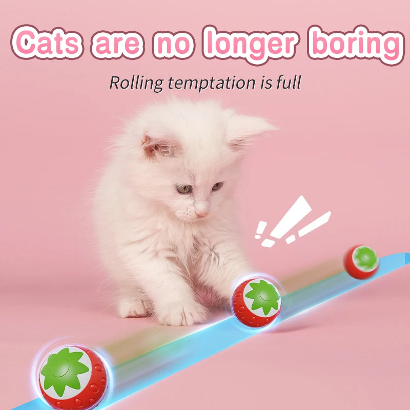 Smart Electric Rolling Cat Toy Ball – USB Rechargeable Automatic Interactive Teaser | Moving Bouncing Ball for Cats