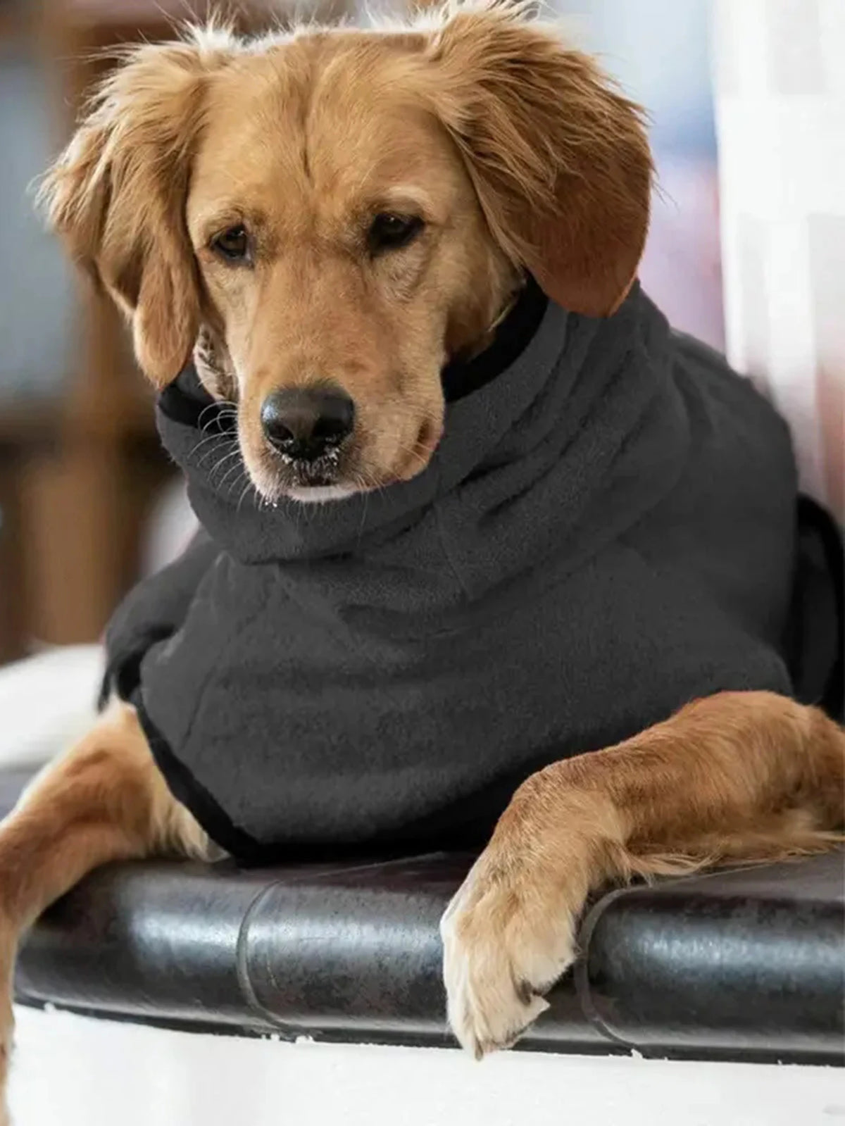 Whippet and Greyhound Fleece Coat - Warm Lined Dog Jumper with Strap - photo 2