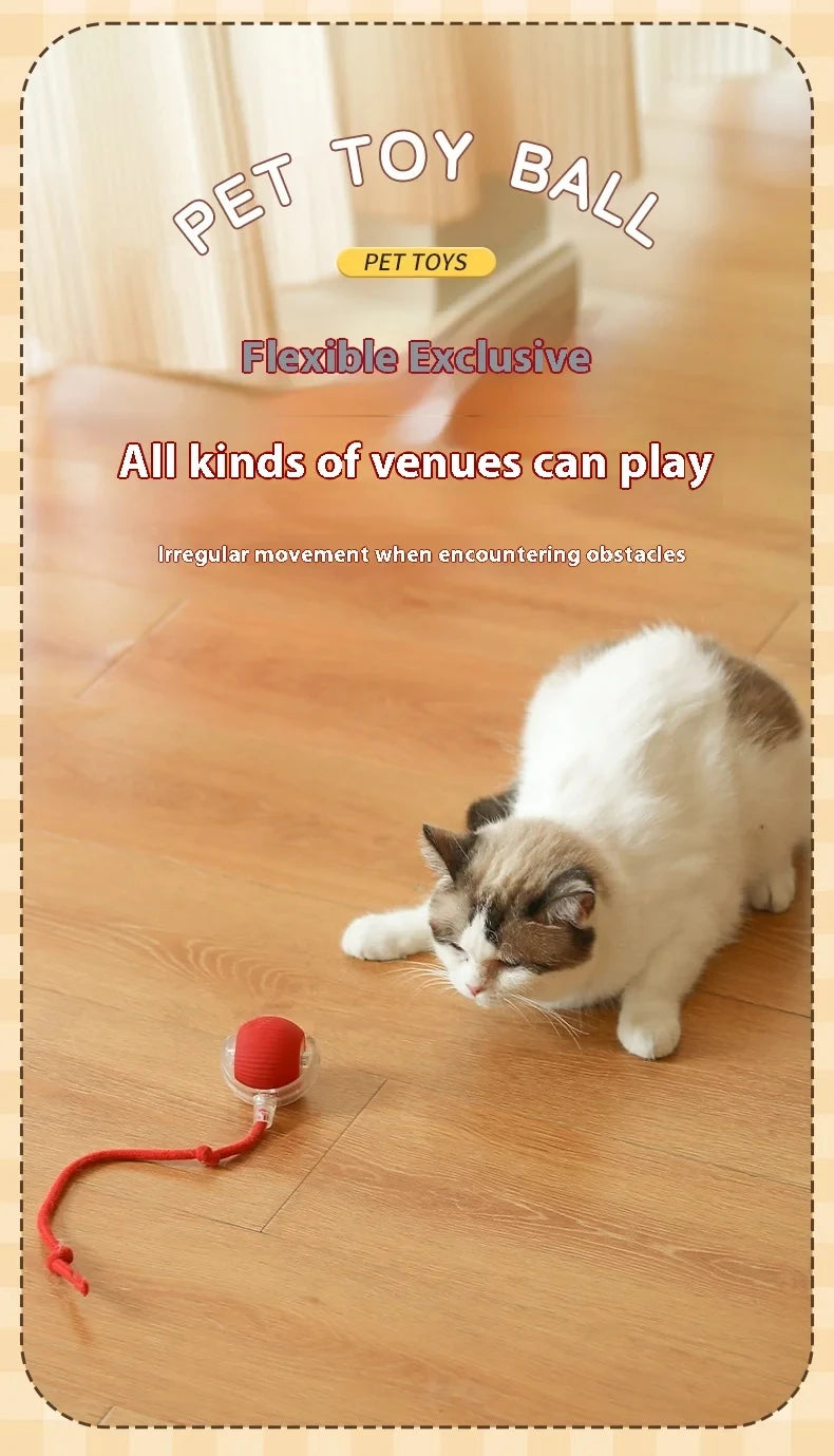 Electric Ball Toys Automatic Rolling Ball Rechargeable Smart Pet Interactive Plush Toy Dog Cat Training Imitate Mouse