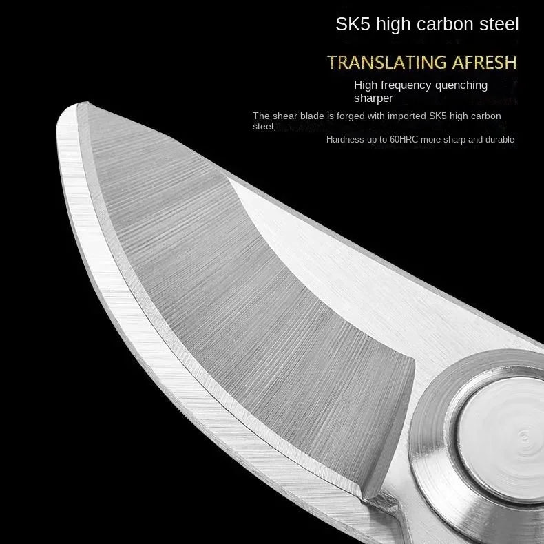 The Professional Gardener's Choice: SK-5 Steel Pruning Shears for Effortless Fruit Tree & Outdoor Trimming