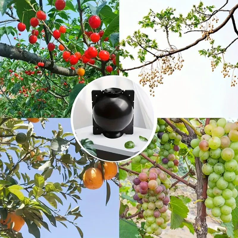 Garden Orchard Plants Grafting Rooting Box Reusable Cutting Garden Rooting Clone Propagation Ball Breeding Equipment for Sapling