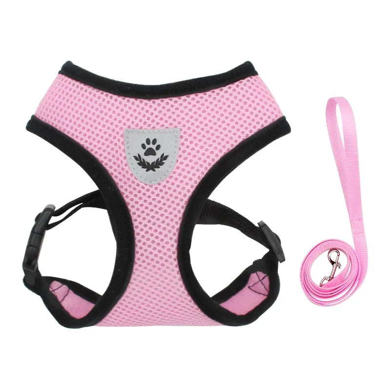 Adjustable Mesh Harness and Leash for Small Dogs and Cats, Reflective