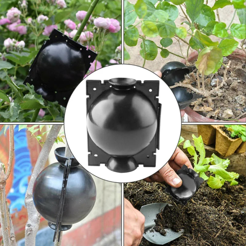 Garden Orchard Plants Grafting Rooting Box Reusable Cutting Garden Rooting Clone Propagation Ball Breeding Equipment for Sapling