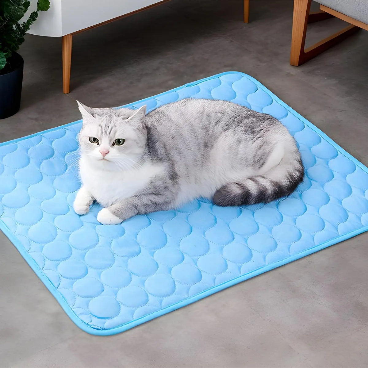 Ice-Silk Dog Cooling Mat - Sofa, Crate, Car & Beach Pad