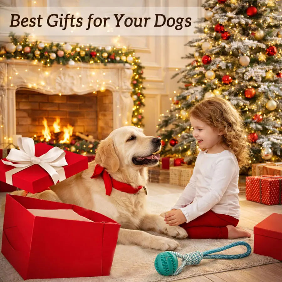 Interactive Dog Toy for Small & Medium Dogs Durable Tug of War Rope with Rubber Ball for Training & Outdoor Play (Blue)