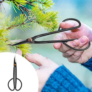 Bonsai Tools Kit- 24 PCS Bonsai Tree Kit Tools for Beginners,  Complete Set for Bonsai Tree Care, Pruning, and Shaping