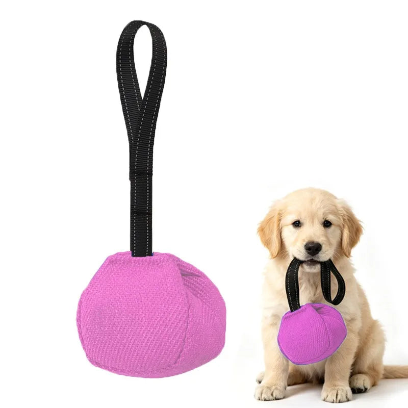 Outdoor Tug-of-War Dog Toy - Bite-Resistant Pull Toy