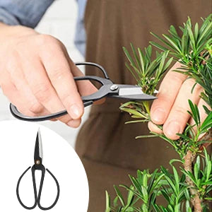 Bonsai Tools Kit- 24 PCS Bonsai Tree Kit Tools for Beginners,  Complete Set for Bonsai Tree Care, Pruning, and Shaping