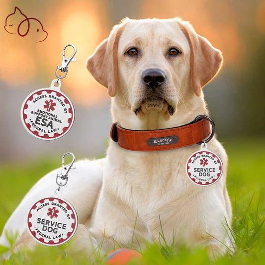 Service Dog ID Tag - Stainless Steel Custom Collar Tag