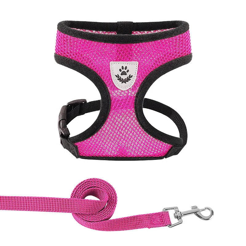 Adjustable Mesh Harness and Leash for Small Dogs and Cats, Reflective