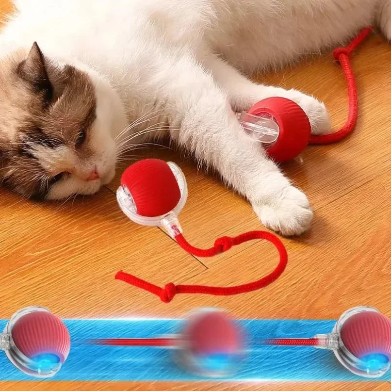 Electric Ball Toys Automatic Rolling Ball Rechargeable Smart Pet Interactive Plush Toy Dog Cat Training Imitate Mouse