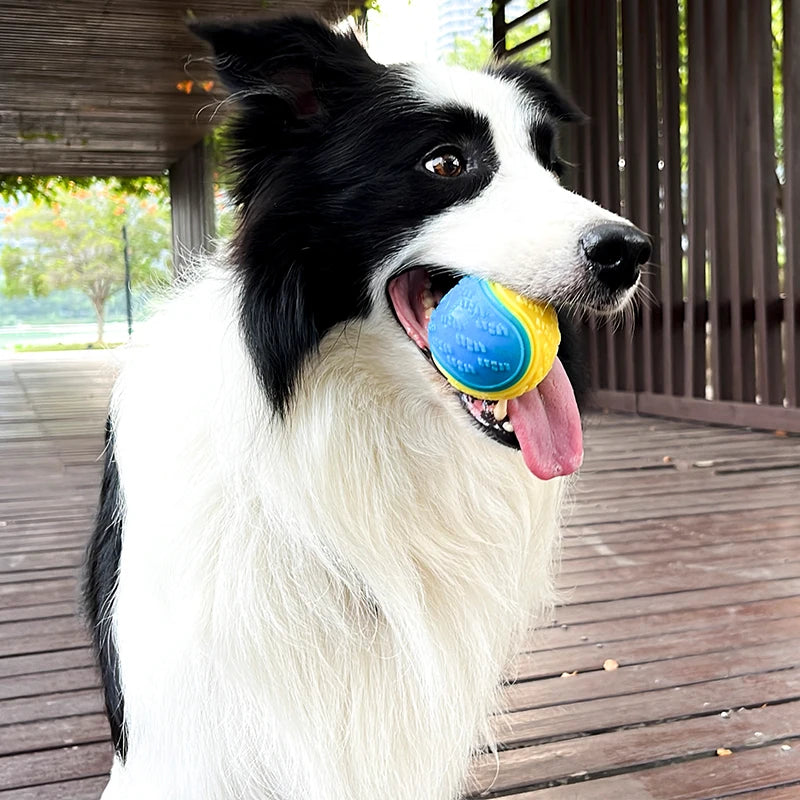 TPR Squeaky Dog Ball - Soft Bite-Resistant Fetch Toy – photo 3