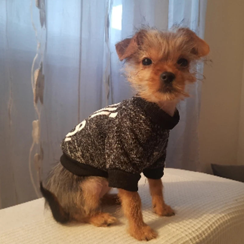 Winter Chihuahua Hoodie - Small Dog Warm Clothing – photo 3