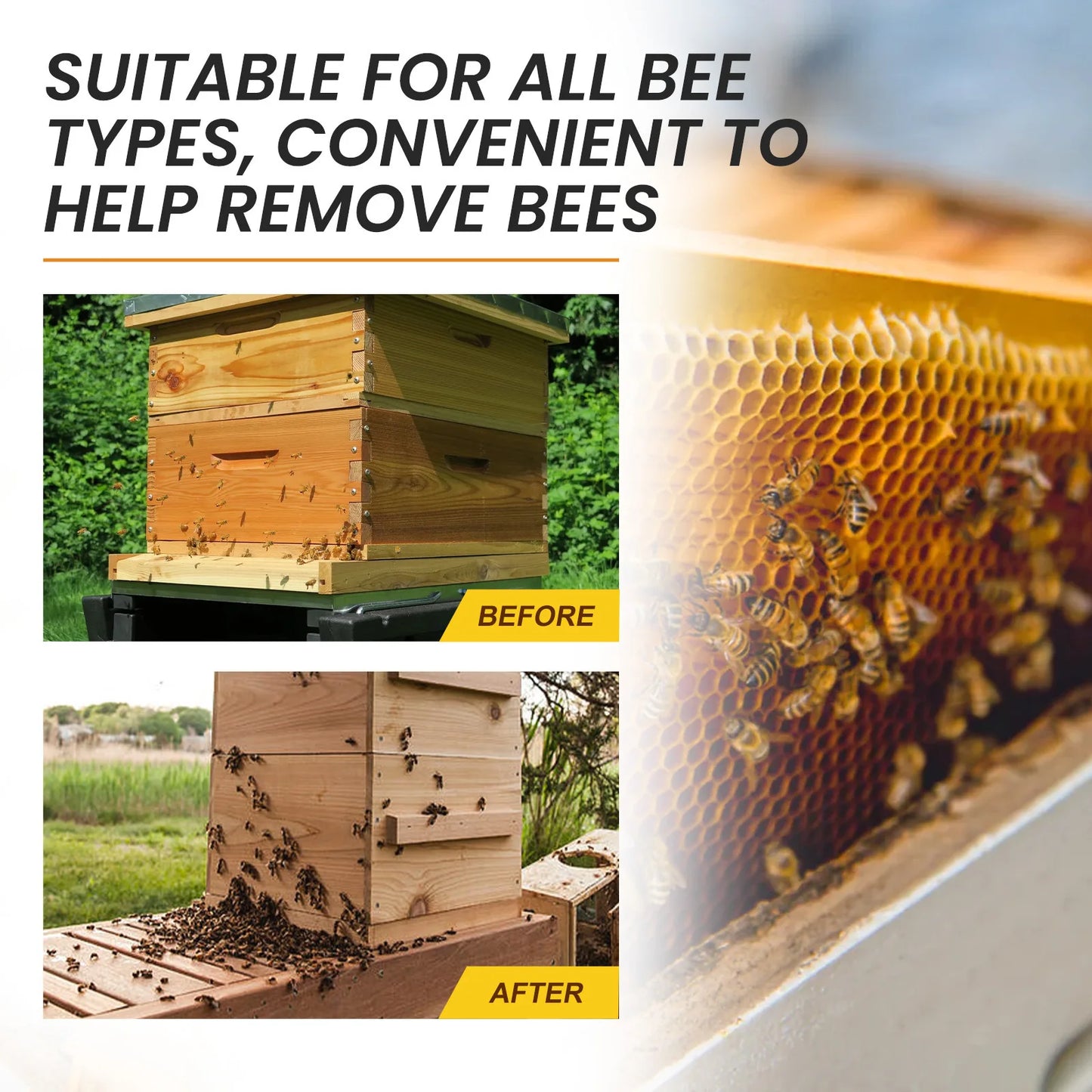 Bee Attractant Lure Bee Queen Pheromone Catching Bait Swarm Lure Beekeeping Attract Bait Swarm Commander Honeybee Trap Liquid