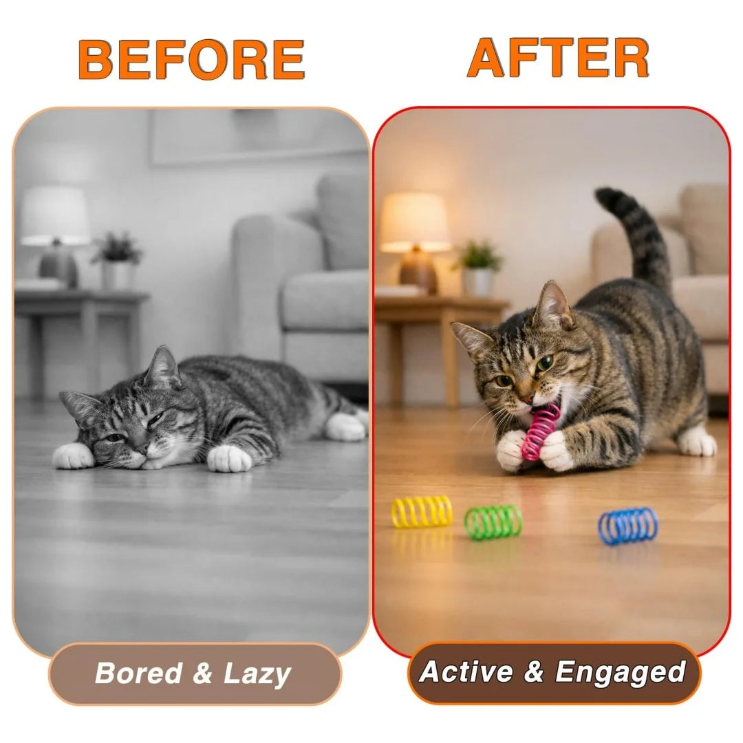 24-Piece Plastic Spiral Spring Cat Toy Set – photo 5