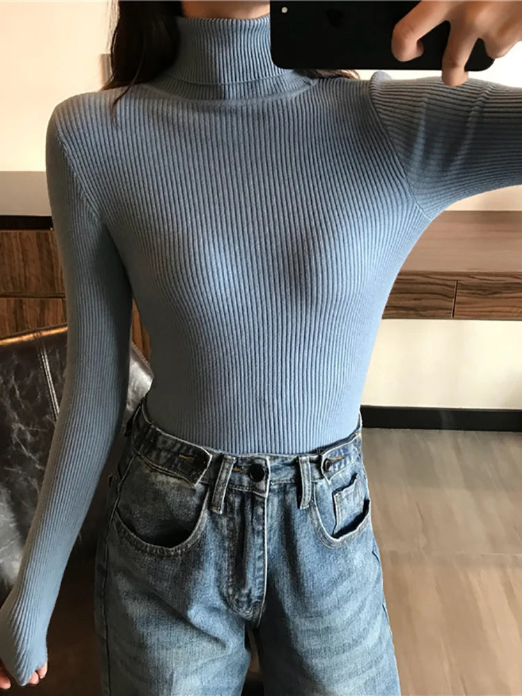Women's Ribbed Turtleneck Sweater — Thick Knit Jumper