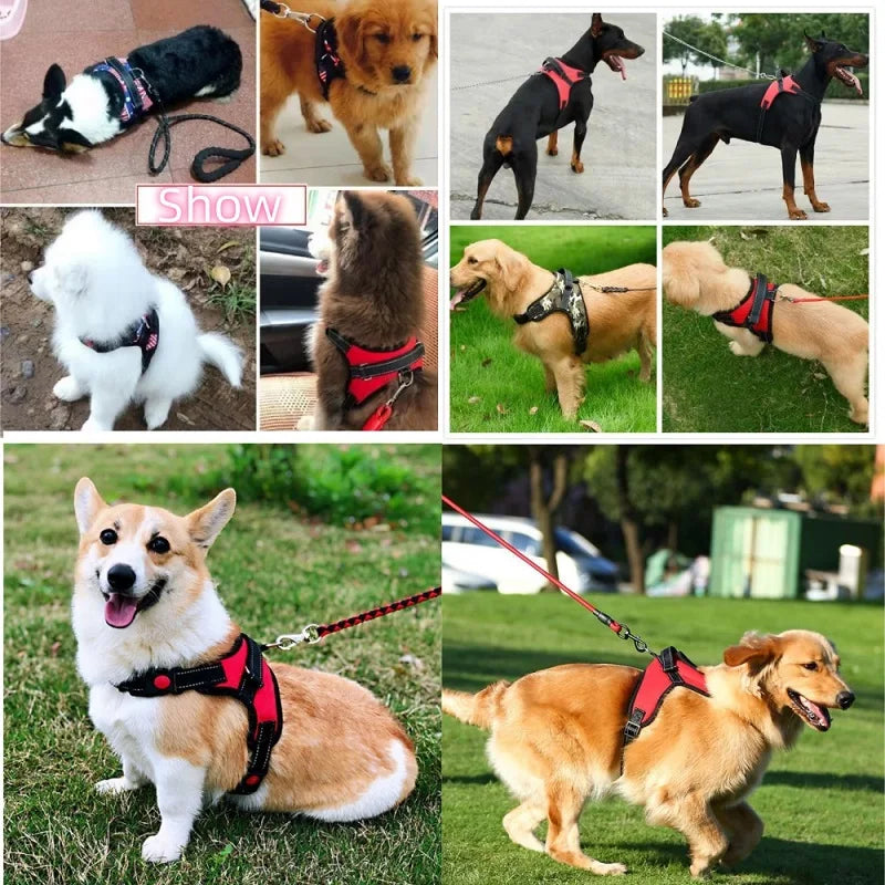 No-pull Strong Dog Harness Vest Harness for Dogs Small Medium Large Dogs Pet Accessories Corgi Chihuahua Shepherd Dog Supplies