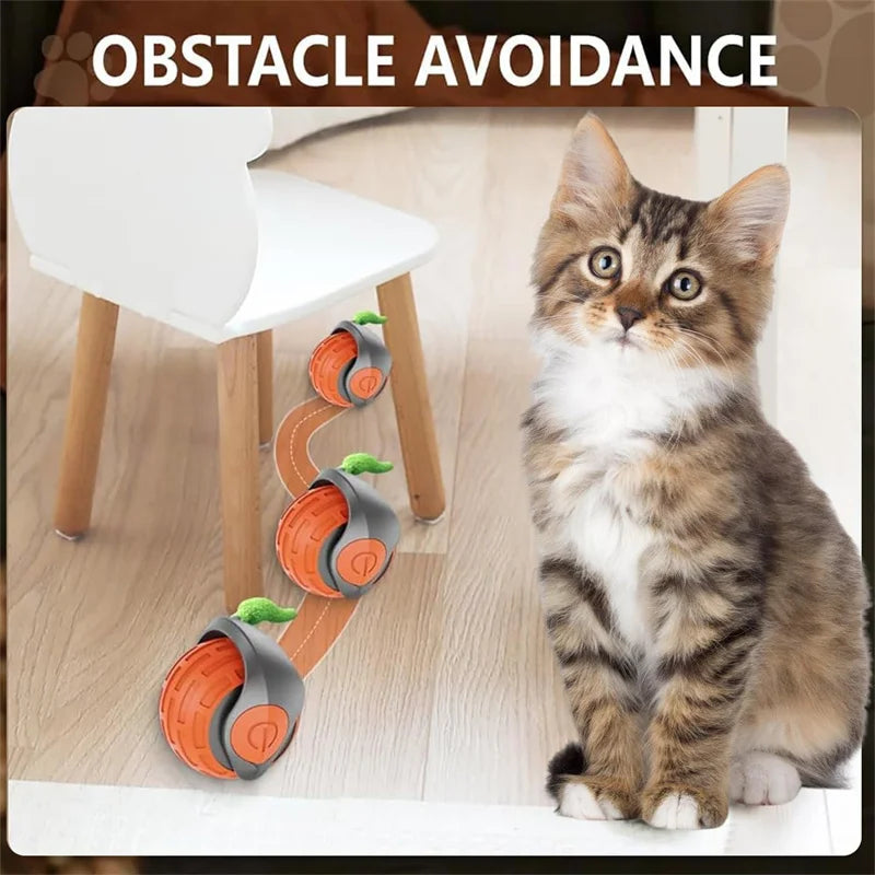 Smart Electric Rolling Cat Toy Ball – USB Rechargeable Automatic Interactive Teaser | Moving Bouncing Ball for Cats