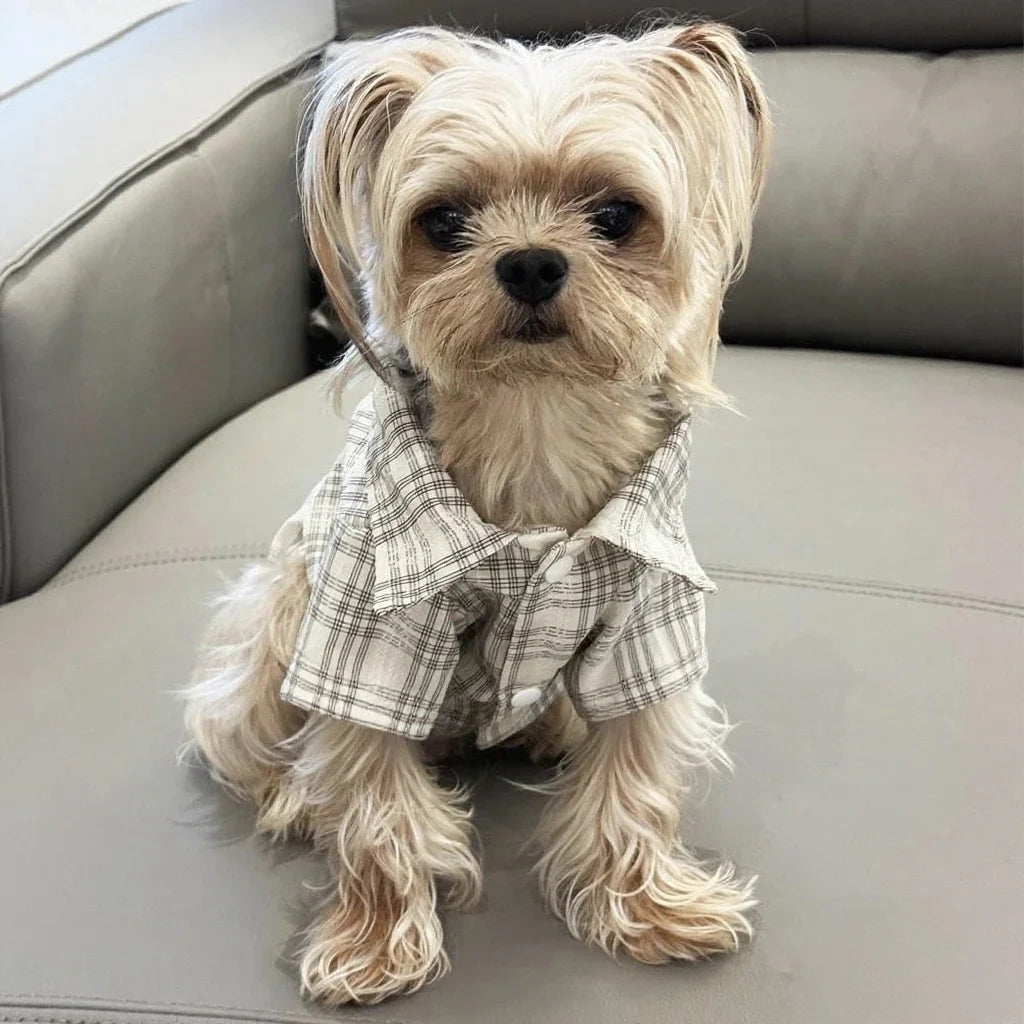 Plaid Dog Shirt - Spring Summer Button Shirt for Small Dogs & Cats