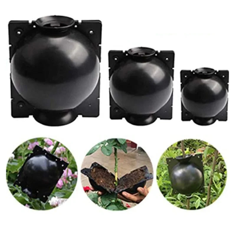 Garden Orchard Plants Grafting Rooting Box Reusable Cutting Garden Rooting Clone Propagation Ball Breeding Equipment for Sapling