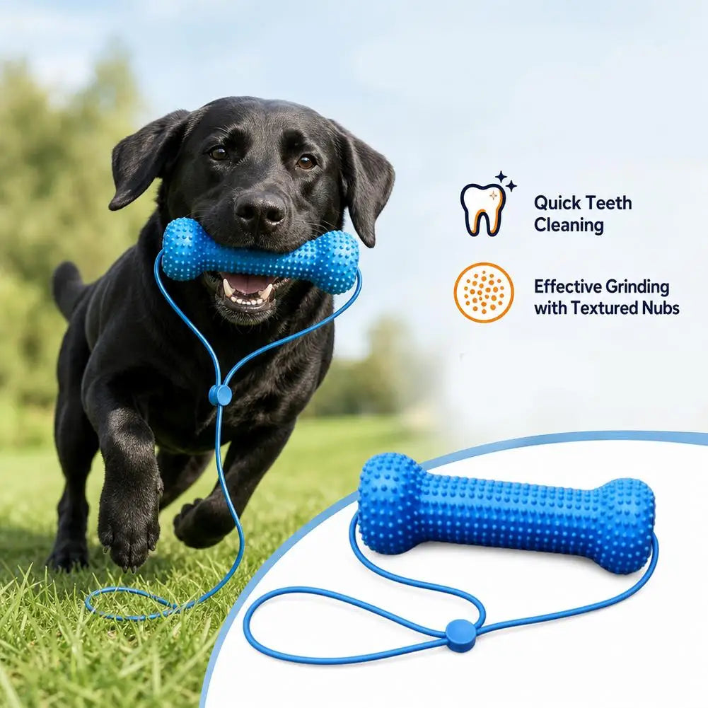Rope & Chew Stick Dog Toy - Gum Massage Nubs, Quiet Chewing – photo 2