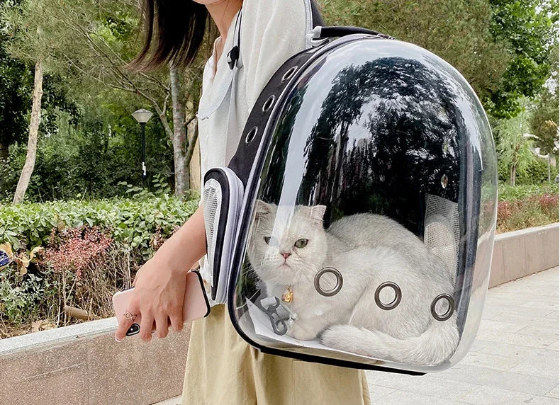 Portable Cat Pet Carrier Backpack Transparent Capsule Bubble Pet Backpack Small Animal Puppy Kitty Breathable Carrier for Travel