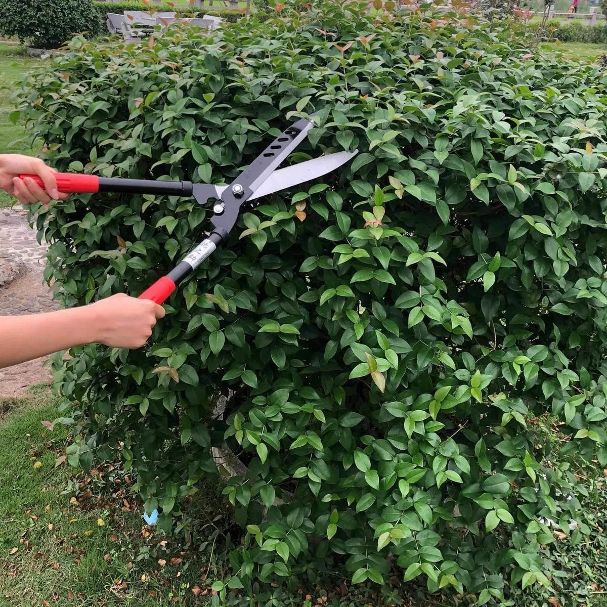 Professional Garden Hedge Lopper — Long-Reach Bypass Pruner
